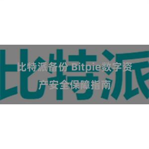 比特派备份 Bitpie数字资产安全保障指南