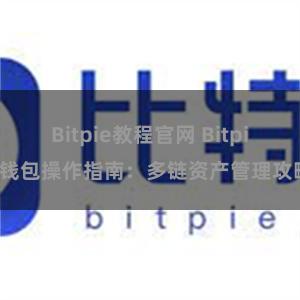 Bitpie教程官网 Bitpie钱包操作指南：多链资产管理攻略