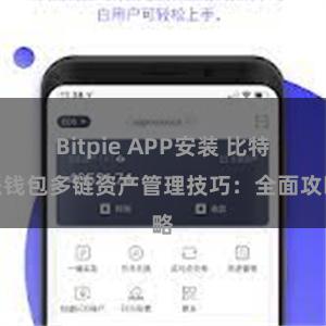 Bitpie APP安装 比特派钱包多链资产管理技巧：全面攻略