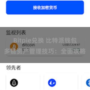 Bitpie兑换 比特派钱包多链资产管理技巧：全面攻略