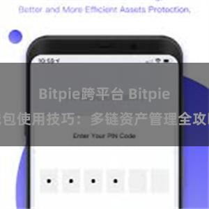 Bitpie跨平台 Bitpie钱包使用技巧：多链资产管理全攻略