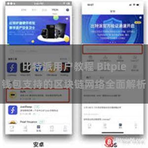 比特派用户教程 Bitpie钱包支持的区块链网络全面解析