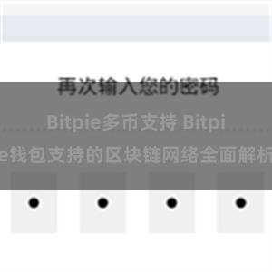 Bitpie多币支持 Bitpie钱包支持的区块链网络全面解析