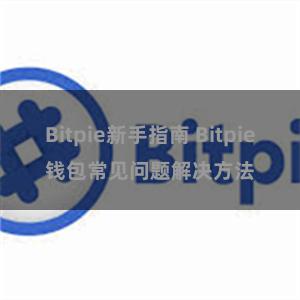 Bitpie新手指南 Bitpie钱包常见问题解决方法