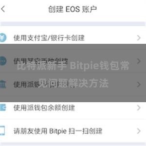 比特派新手 Bitpie钱包常见问题解决方法