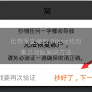 比特派安装包 Bitpie钱包常见问题解决方法