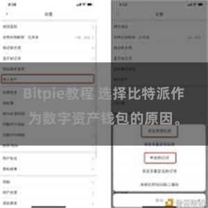 Bitpie教程 选择比特派作为数字资产钱包的原因。