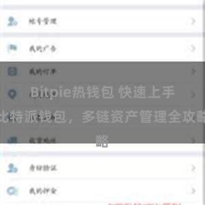 Bitpie热钱包 快速上手比特派钱包，多链资产管理全攻略