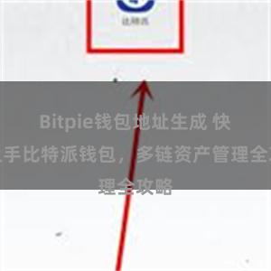 Bitpie钱包地址生成 快速上手比特派钱包，多链资产管理全攻略