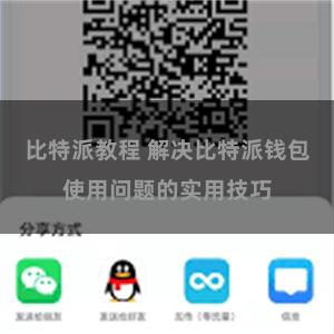 比特派教程 解决比特派钱包使用问题的实用技巧