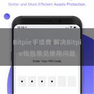 Bitpie手续费 解决Bitpie钱包常见使用问题