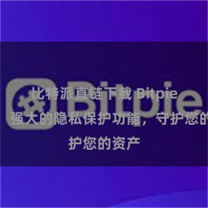 比特派直链下载 Bitpie钱包：强大的隐私保护功能，守护您的资产