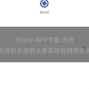 Bitpie APP下载 比特派钱包支持的主要区块链网络解析