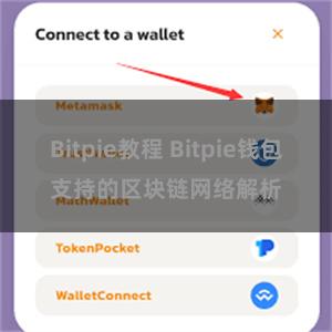 Bitpie教程 Bitpie钱包支持的区块链网络解析