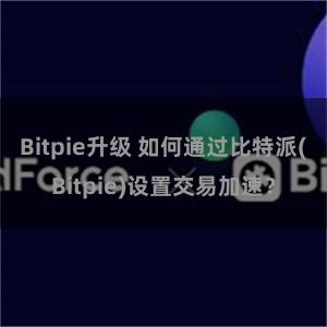 Bitpie升级 如何通过比特派(Bitpie)设置交易加速？