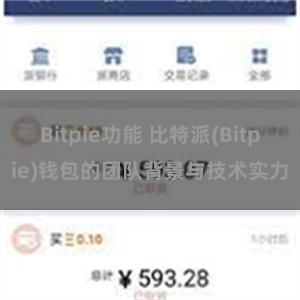 Bitpie功能 比特派(Bitpie)钱包的团队背景与技术实力