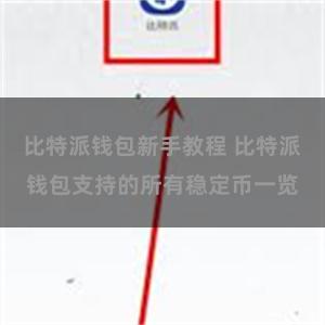 比特派钱包新手教程 比特派钱包支持的所有稳定币一览