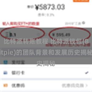 比特派转账教程 比特派钱包(Bitpie)的团队背景和发展历史揭秘