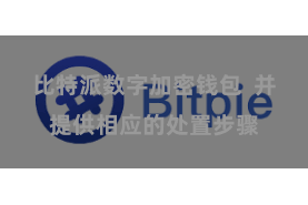 比特派数字加密钱包  并提供相应的处置步骤
